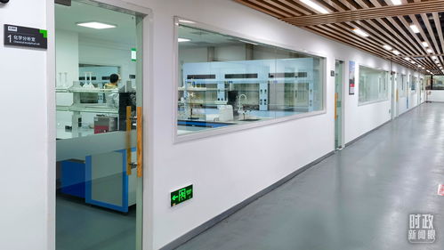 衡水新聞網 電子專用材料制造——產業新引擎，發展新動能